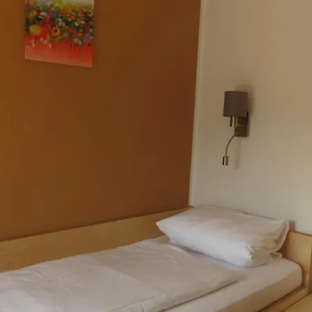 Gaestehaus Eisenstrasse تروفاياخ